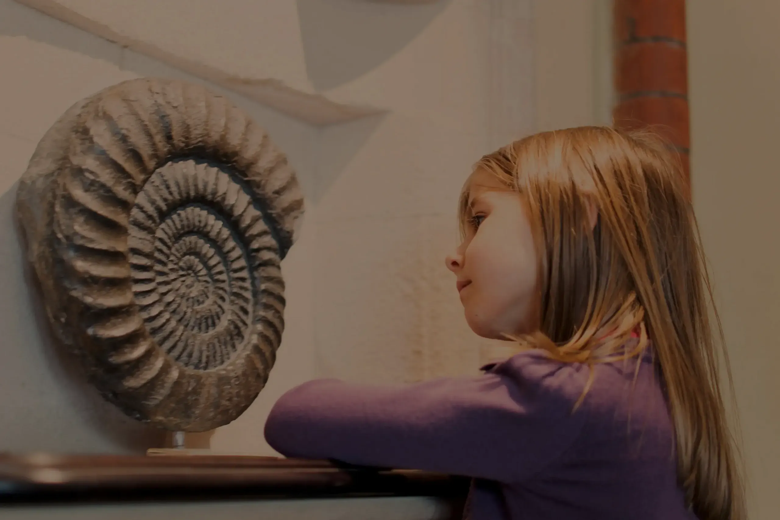 Mädchen betrachtet einen Ammonit